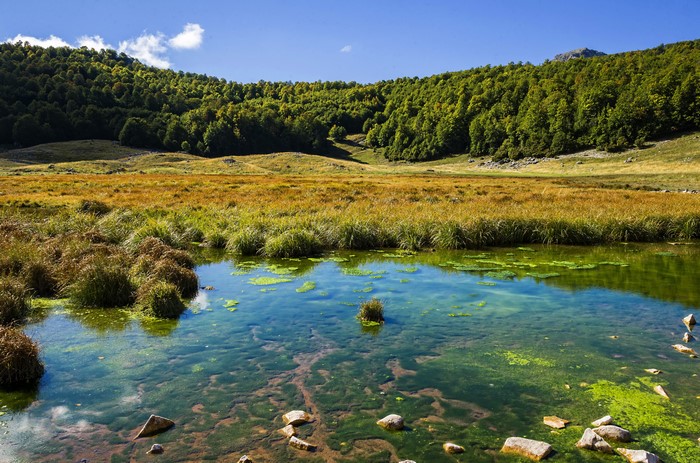 Lake Barrea in Italy with Forests and Grass