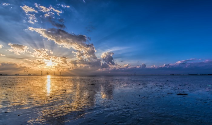4K Sea Sunset with Wind Turbines
