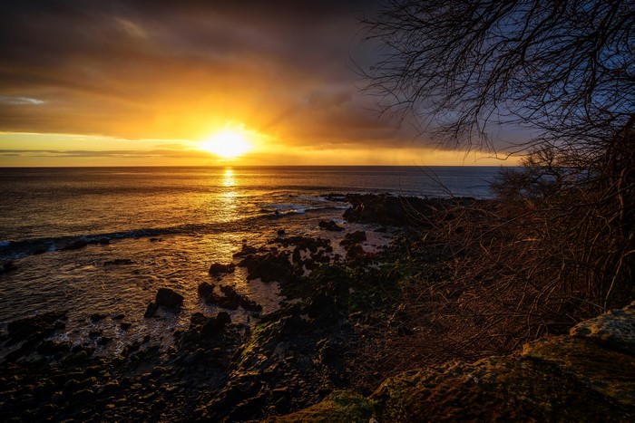 Sunset over the rocky coast