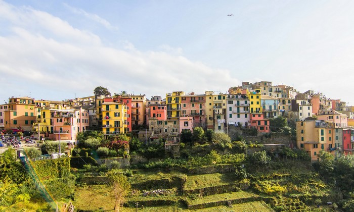 Colorful houses on a hillside in Corniglia, Italy