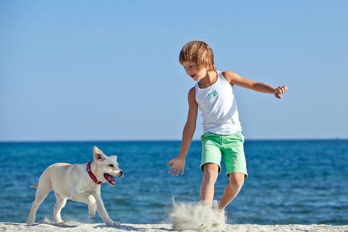 Boy and dog playing on the beach