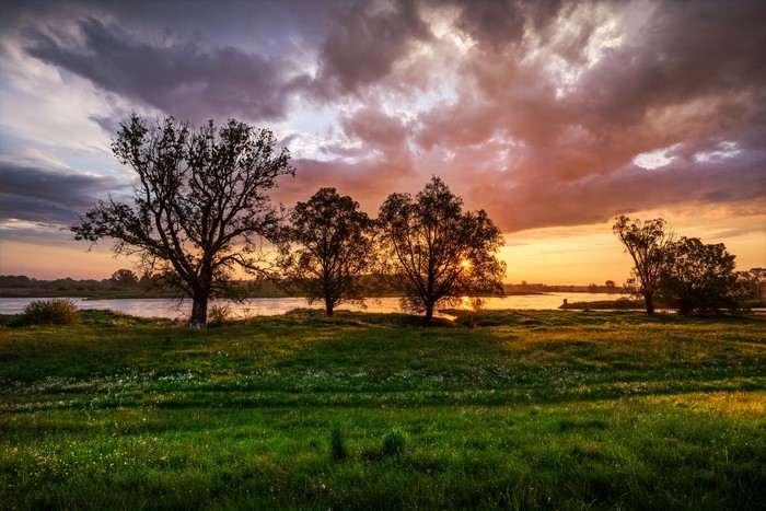 Sunset over a river with trees and grass