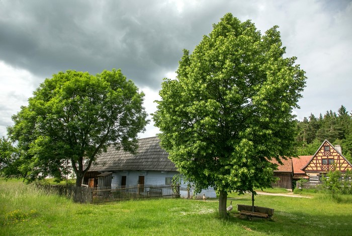 Traditional houses and trees in Nabburg, Germany