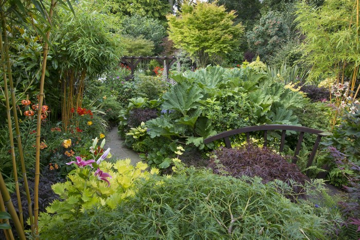 Walsall Garden in England with bamboo and flowers