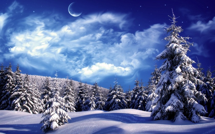 Snowy forest under a crescent moon and starry sky