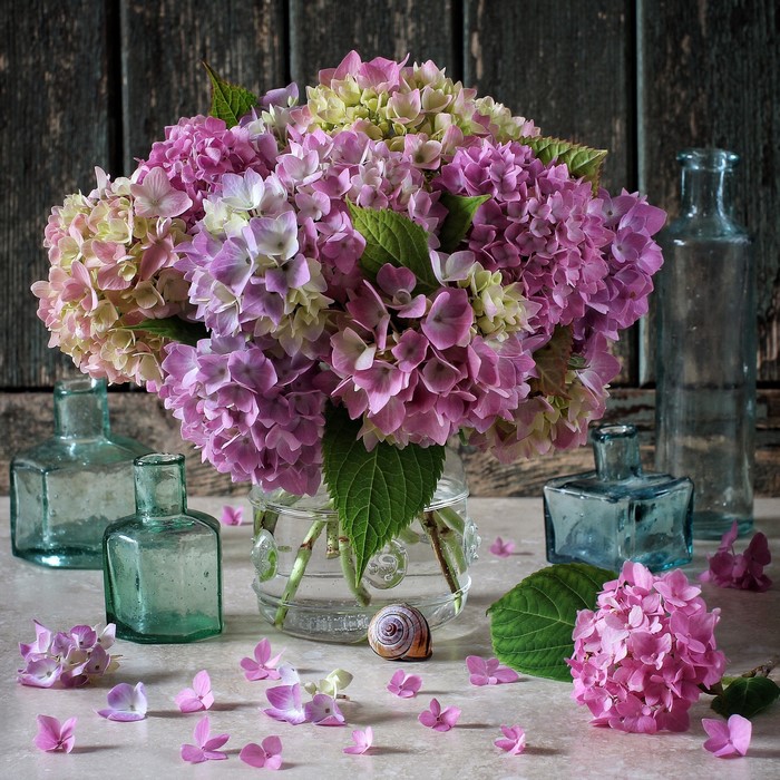Hydrangea bouquet in glass vase with antique bottles