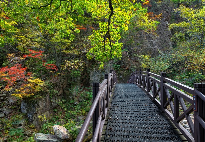 Wooden bridge in Seoraksan National Park, South Korea during autumn