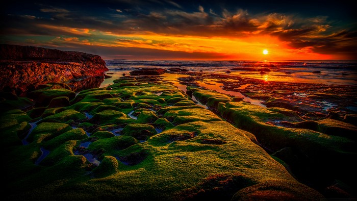 Mossy rocks on a beach at sunset