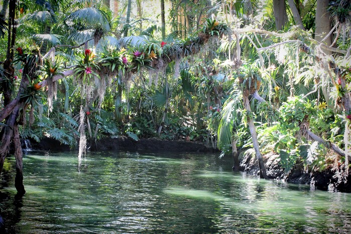 Jungle Cruise at Disneyland Park in Anaheim, California