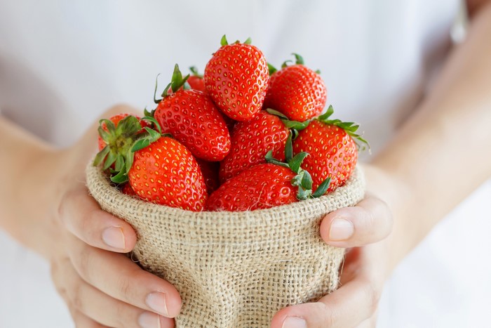 Hands holding a burlap bag full of strawberries