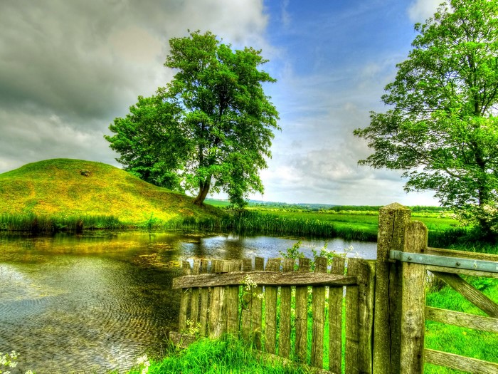 Wooden fence by a pond with trees and a grassy hill