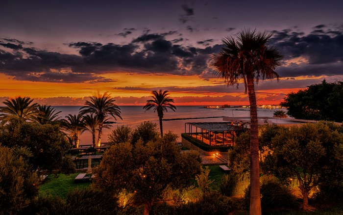 Cyprus resort at sunset with palm trees