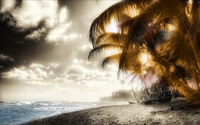 Palm trees on a beach with ocean waves and clouds