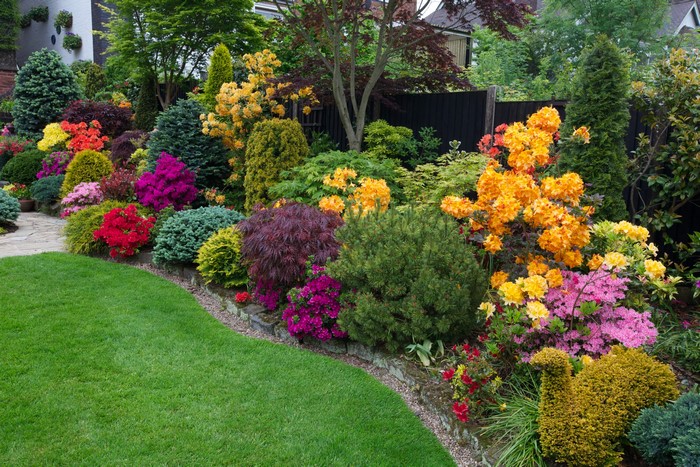 Colorful garden with shrubs and lawn in Walsall, England