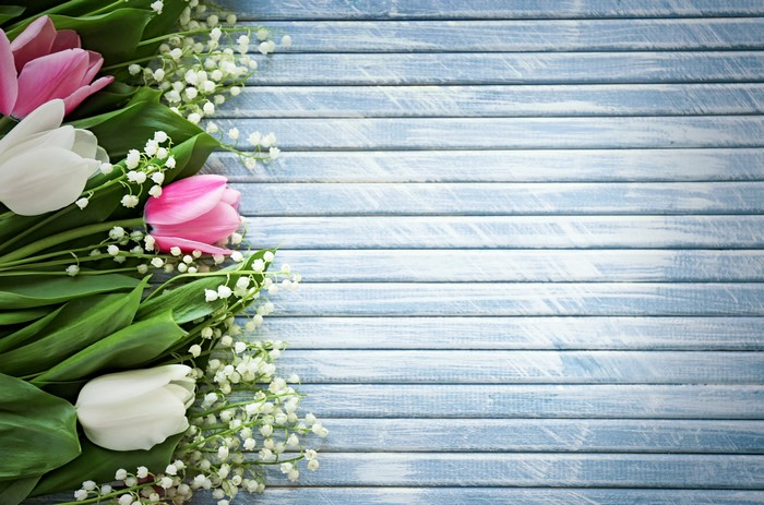 Tulips and Lilies of the Valley on Blue Wood