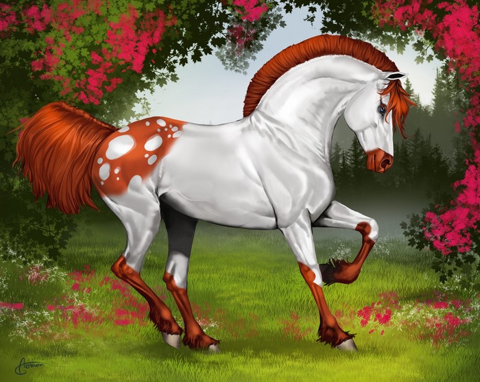 Appaloosa horse with orange mane and tail in a meadow