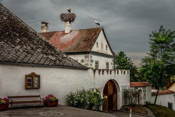 Storks on a building in Friedersbach, Austria