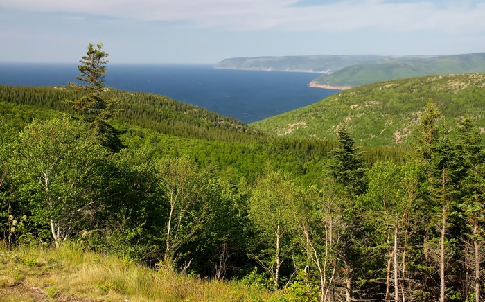 Cape Breton Highlands National Park, Canada