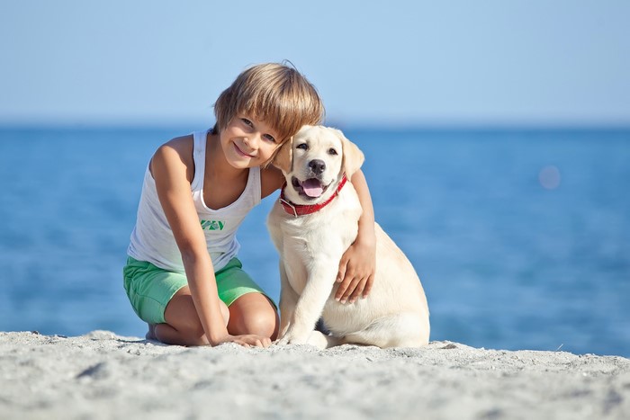 Boy hugging a Labrador Retriever on a beach