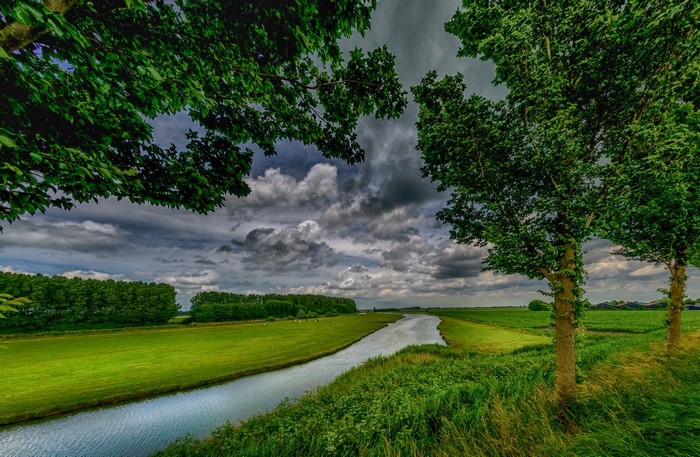 Canal through green fields with trees and clouds in Netherlands
