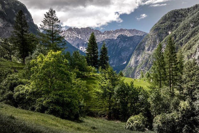 4K Trenta Valley Slovenia Mountains and Trees