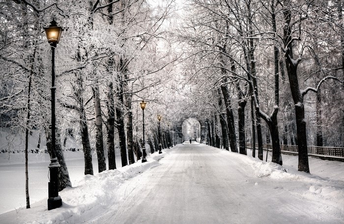 Snow-covered park avenue with trees and lampposts in St. Petersburg