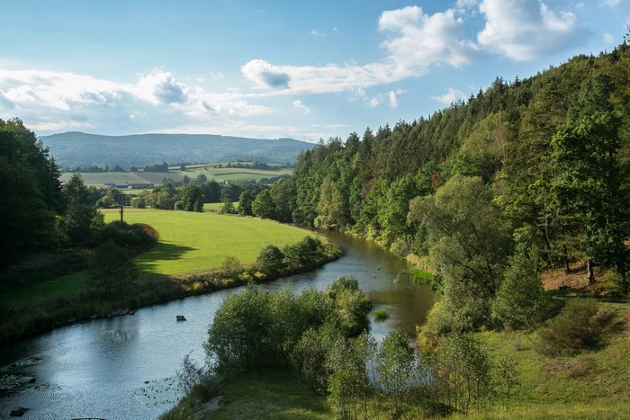 River flowing through a forest landscape near Furth im Wald, Germany