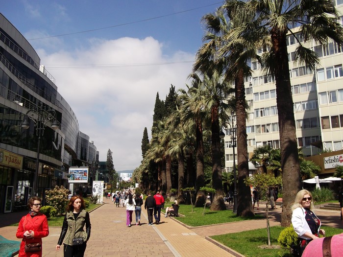 Street with palm trees and buildings in Sochi, Russia
