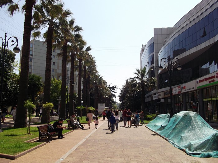 Street with palm trees in Sochi, Russia