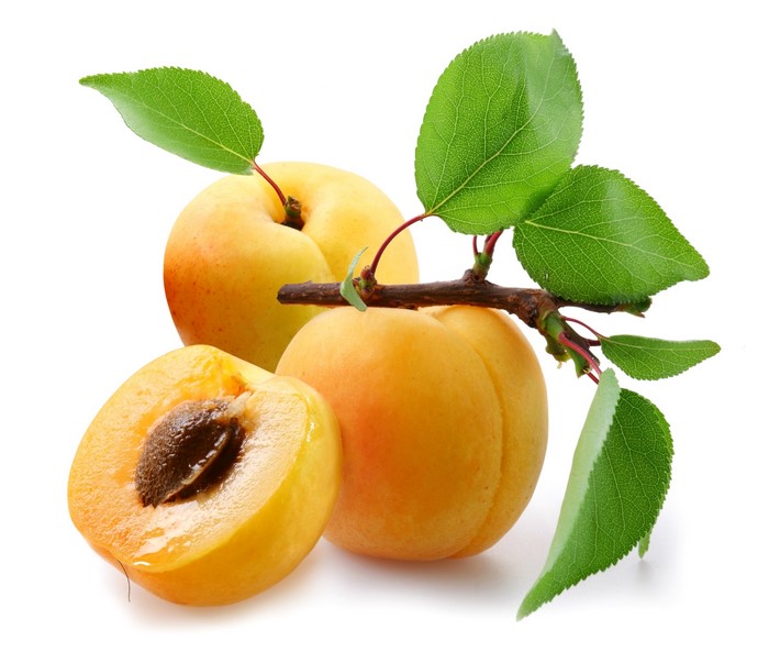 Three apricots on a branch with leaves
