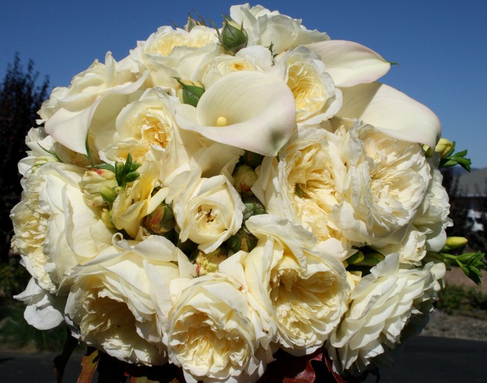 White Roses and Calla Lilies Bouquet