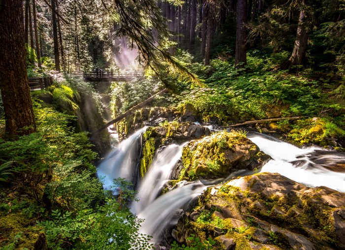 Sol Duc Falls Olympic National Park USA