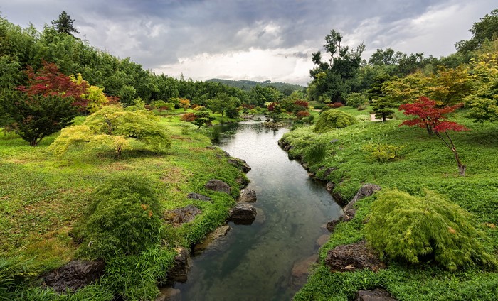 Japanese Garden with Pond and Trees