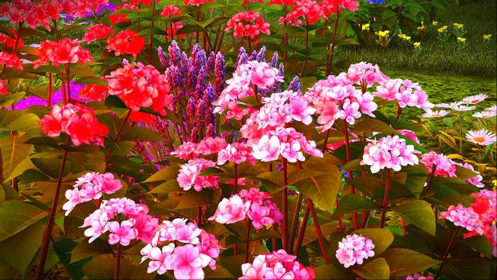4K Phlox and Hydrangeas in a Garden