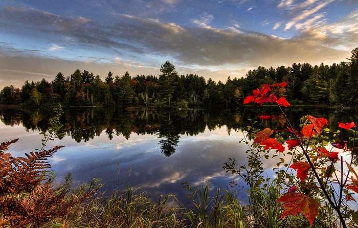 Lake reflection with autumn foliage in Kingsbury, Quebec