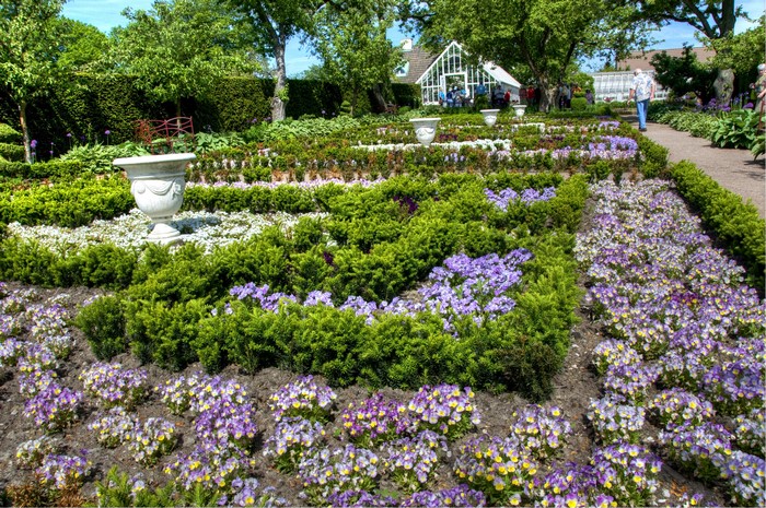 Sofiero Castle Gardens Helsingborg Sweden with Pansies and Shrubs
