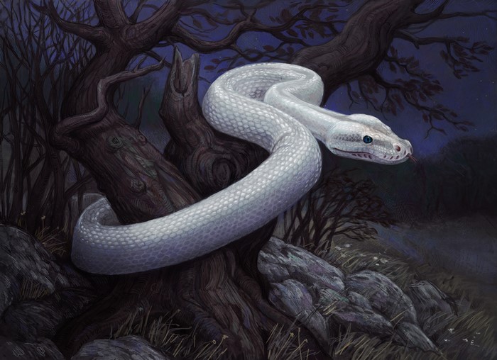 White Snake in a Dark Forest Painting