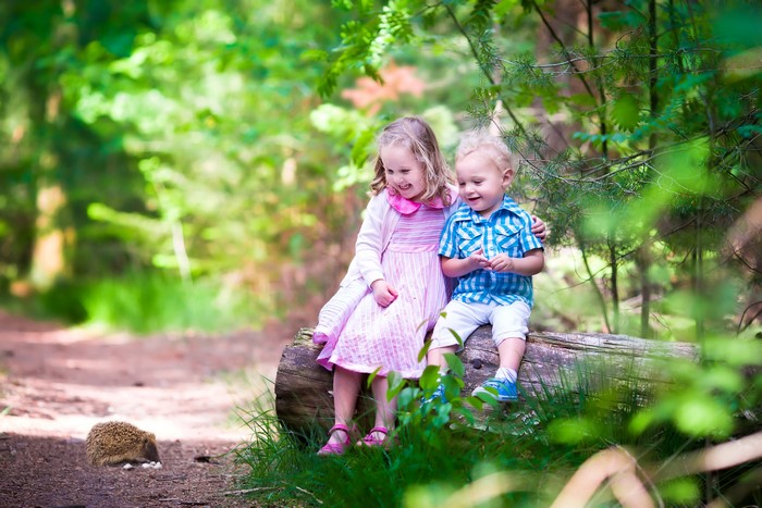 Two children and a hedgehog in a forest