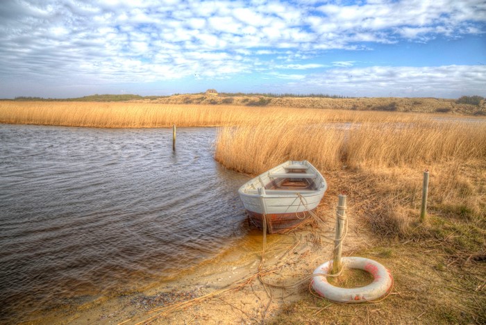 Boat by reeds in Jylland, Denmark