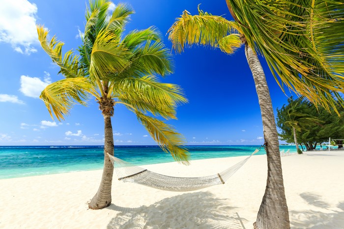 4K Tropical Beach with Palm Trees and Hammock