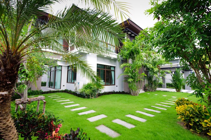 Modern house with a manicured lawn and palm trees