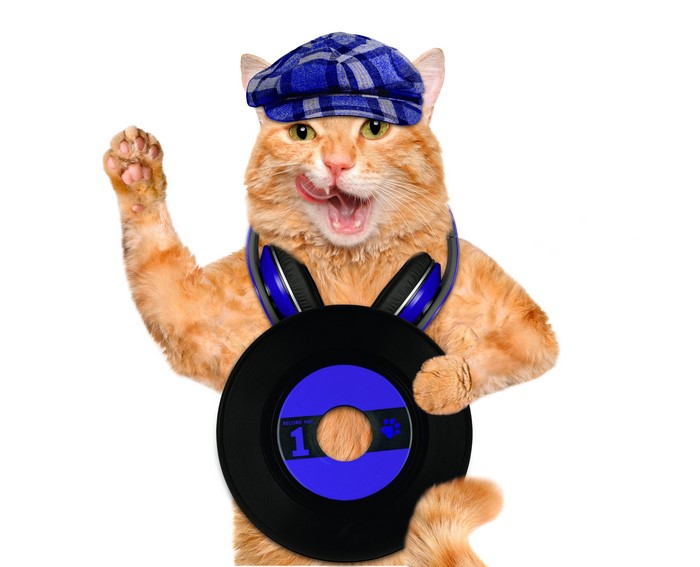 Orange cat wearing a cap and headphones holding a record