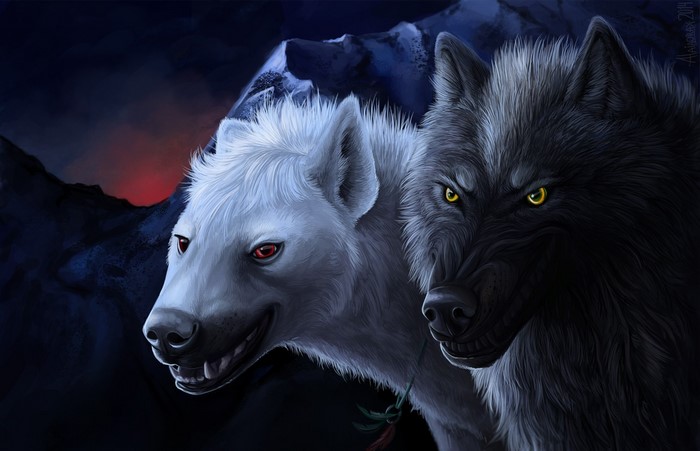 Two wolves, one white and one black, in a mountain landscape