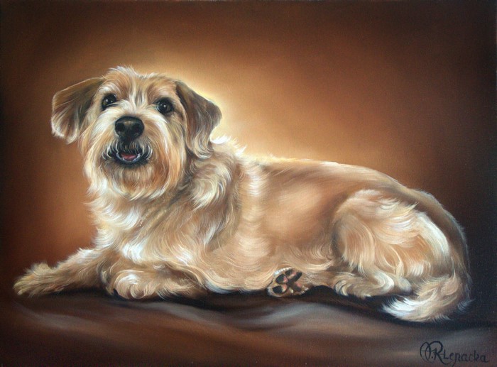 Painting of a scruffy terrier dog lying down