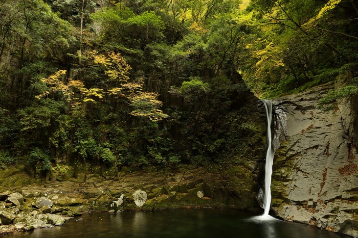 Waterfall cascading down a rocky cliff in a forest
