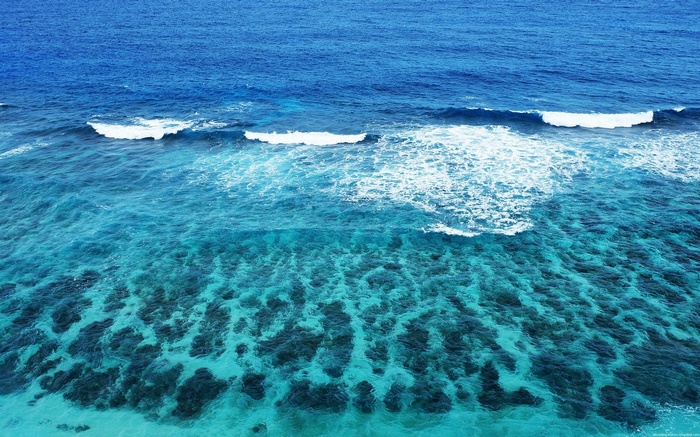 Ocean waves breaking over a coral reef