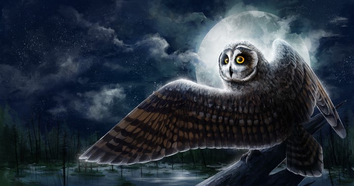 Owl in flight under a full moon