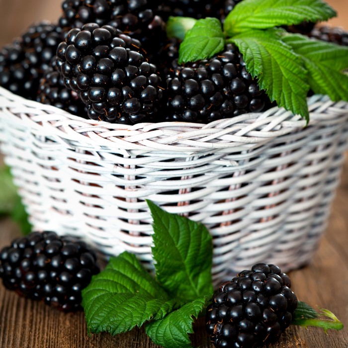 Blackberries in a white wicker basket with leaves