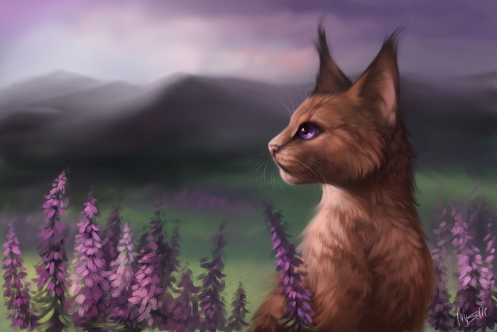 Cat with purple eyes in a field of purple flowers