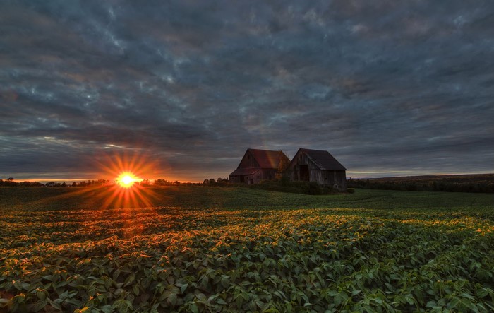 Sunset over a field with barns in Quebec, Canada